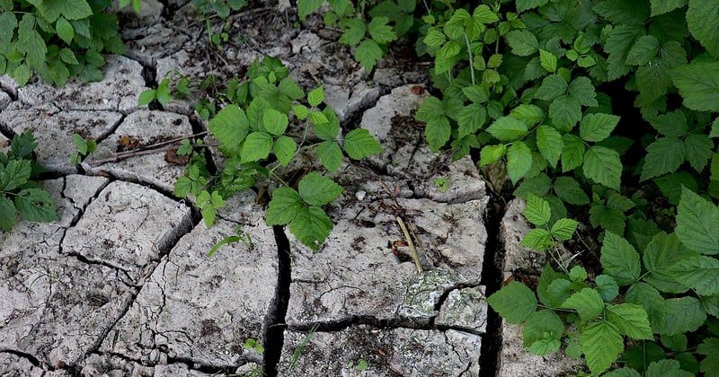 Sécheresse historique dans le Sud-Ouest : ces gestes simples pour économiser l’eau